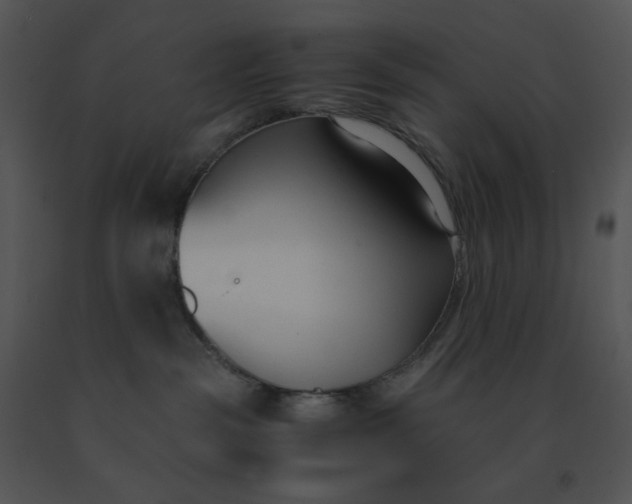 X0000091520189200708311257