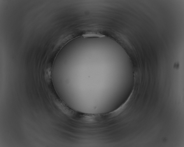 X0000091520190200708311257