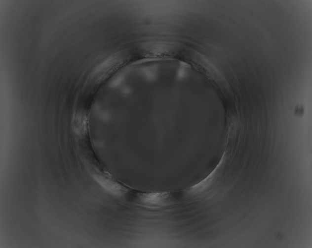 X0000091520191200708311257