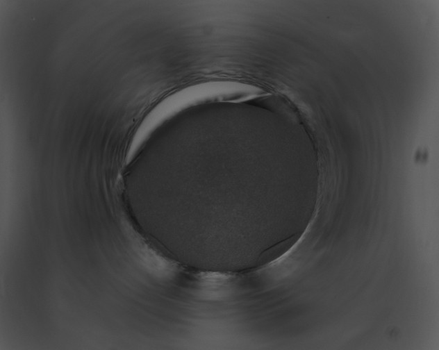 X0000091520192200708311257