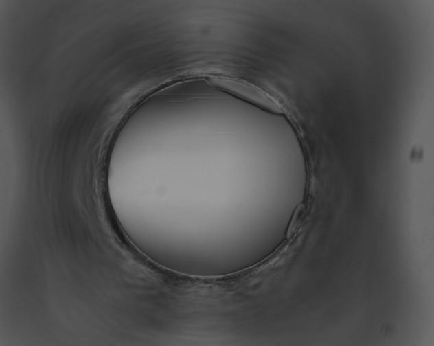 X0000091520193200708311257