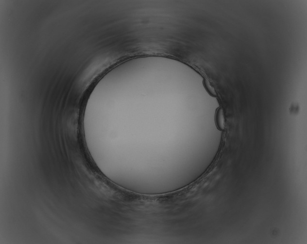 X0000091520194200708311257