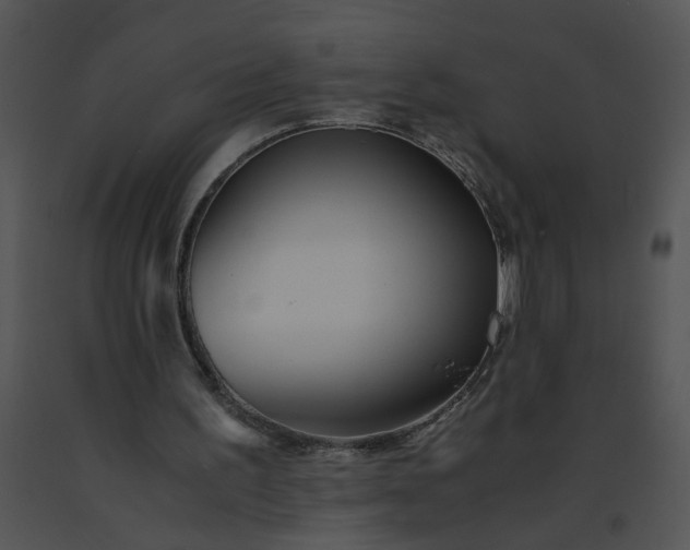 X0000091520195200708311257