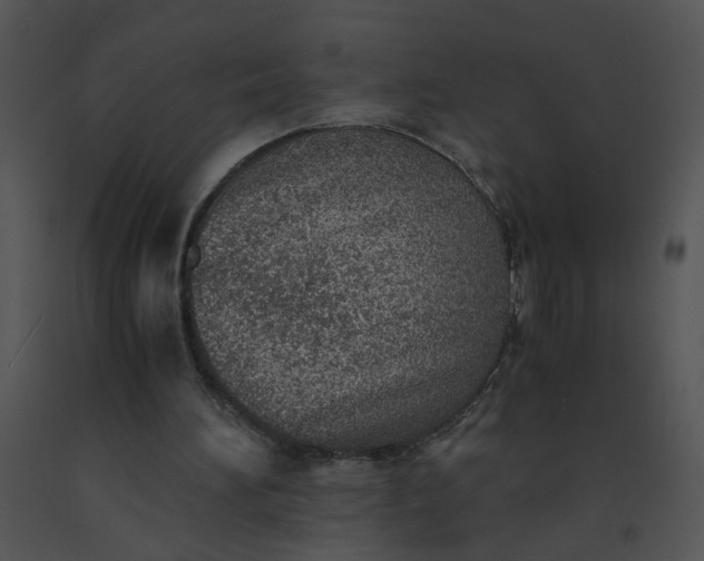 X0000091520196200708311257