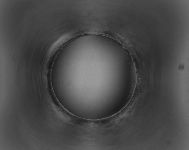 X0000091520197200708311257