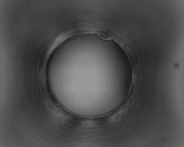 X0000091520198200708311257