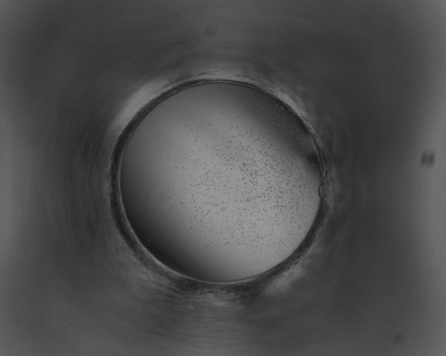 X0000091520199200708311257