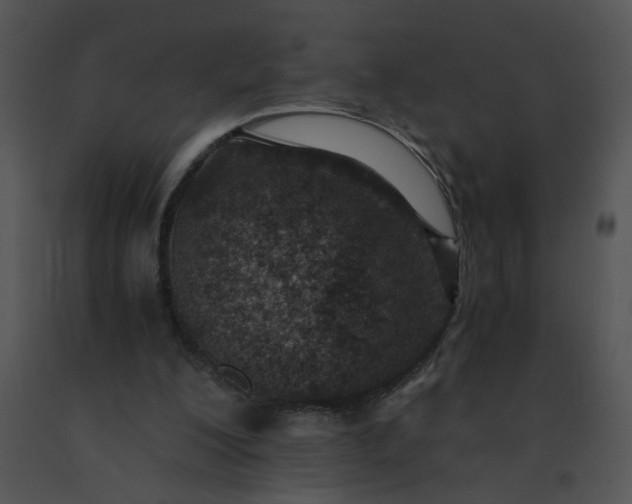 X0000091520200200708311256