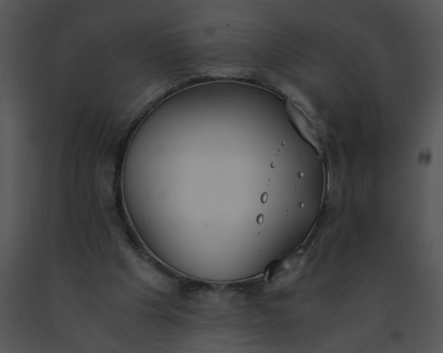 X0000091520201200708311256