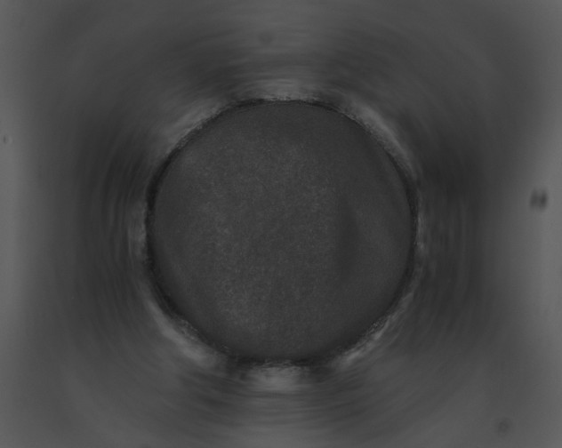 X0000091520202200708311256