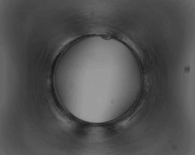 X0000091520203200708311256