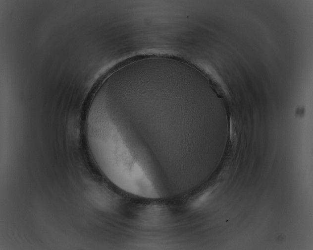 X0000091520204200708311256