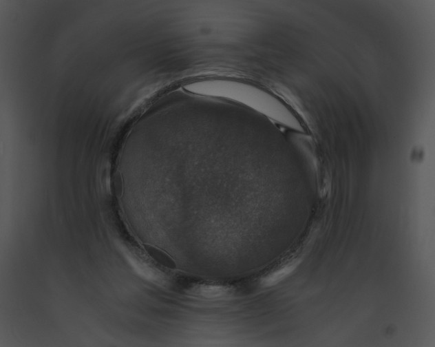 X0000091520205200708311256