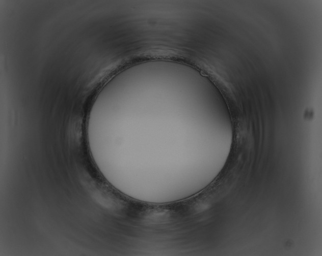 X0000091520206200708311256