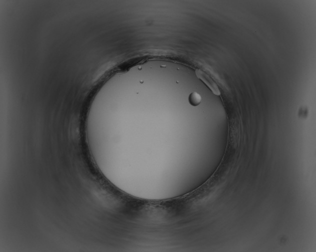 X0000091520207200708311256