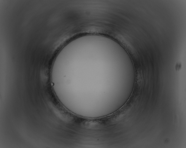 X0000091520208200708311256