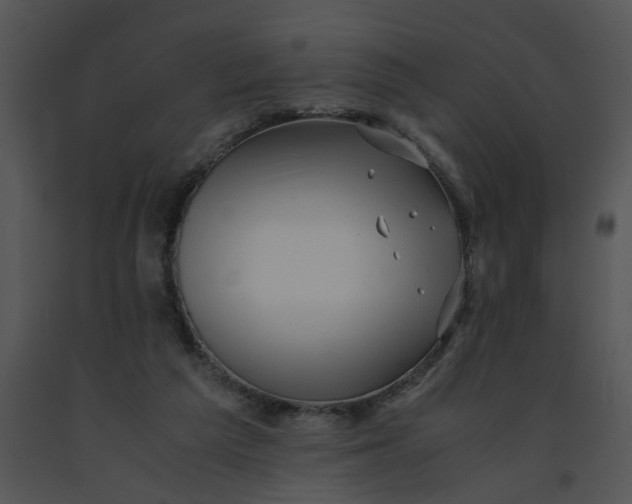 X0000091520209200708311256