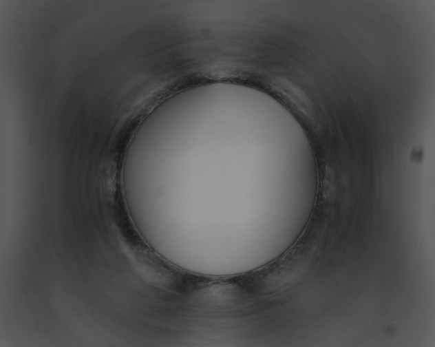 X0000091520210200708311256