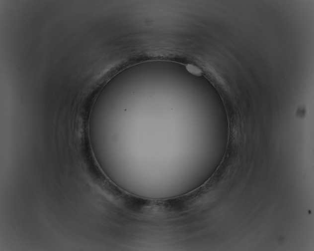 X0000091520211200708311256