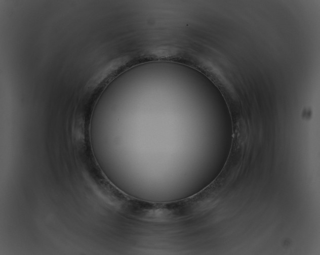 X0000091520212200708311256