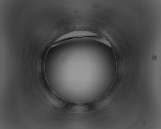 X0000091520213200708311256