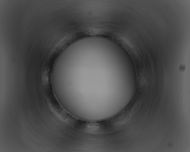 X0000091520214200708311256