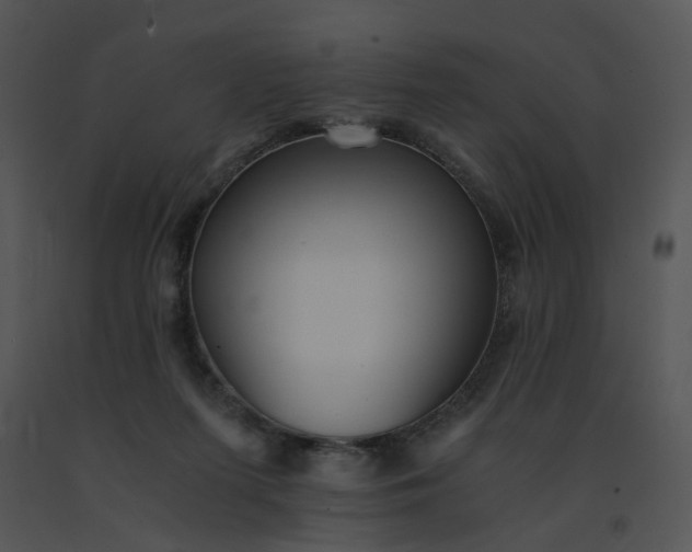 X0000091520215200708311256