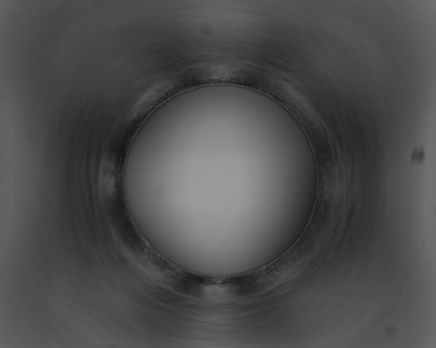 X0000091520216200708311256