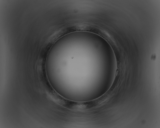 X0000091520217200708311256