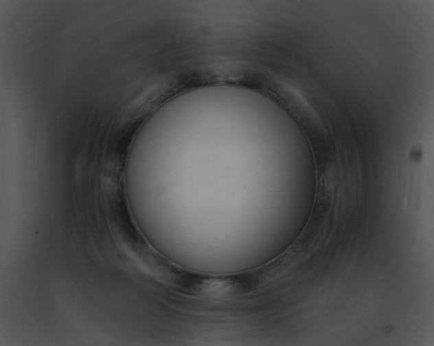 X0000091520218200708311256