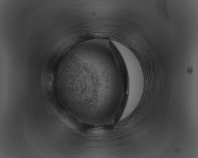 X0000091520219200708311256