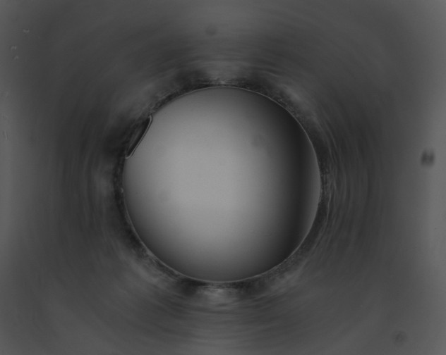 X0000091520221200708311256