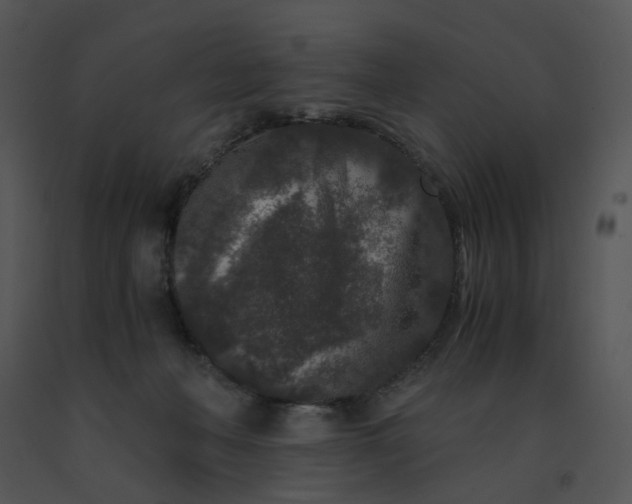 X0000091520222200708311256