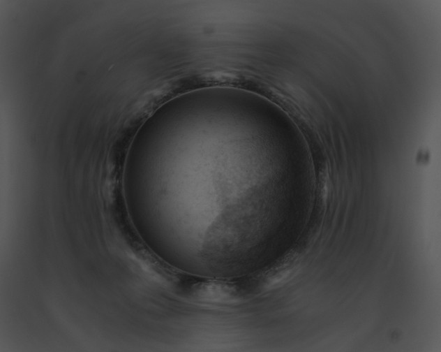 X0000091520223200708311256