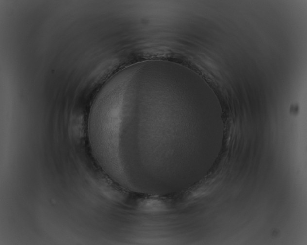 X0000091520224200708311256