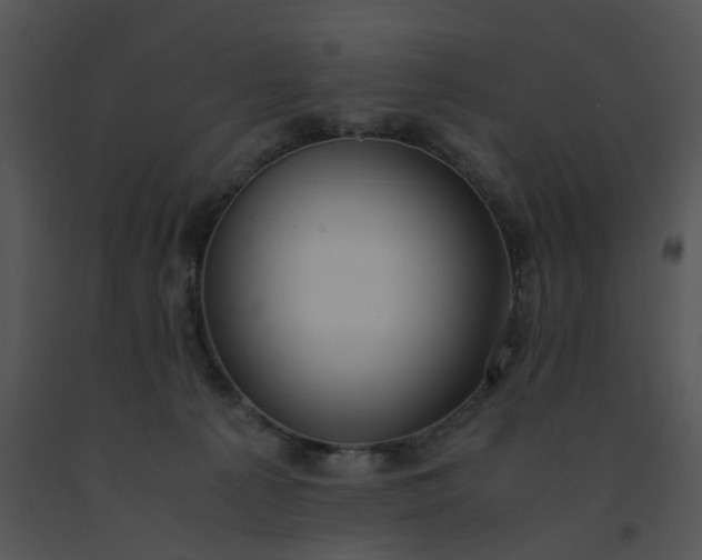 X0000091520225200708311256