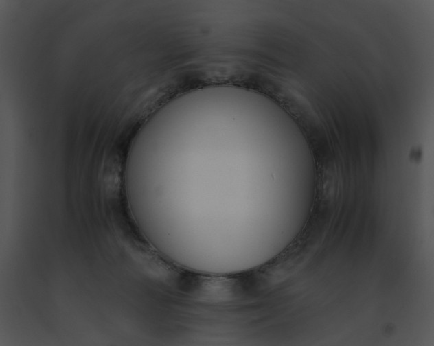 X0000091520226200708311256