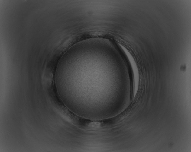 X0000091520227200708311256