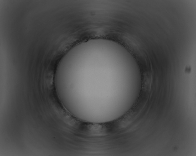 X0000091520230200708311256