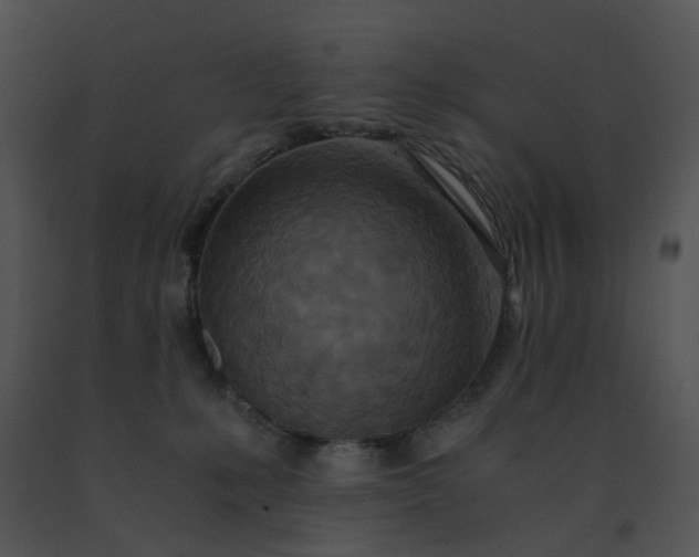 X0000091520231200708311256