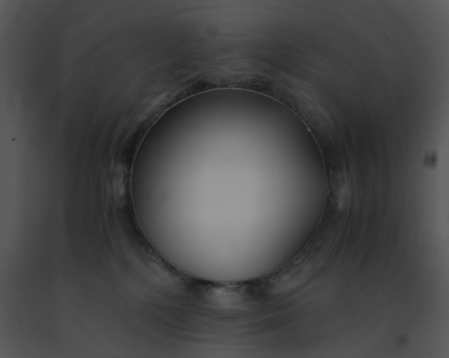 X0000091520232200708311256