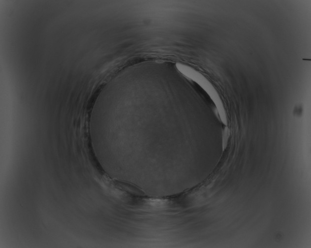 X0000091520233200708311256