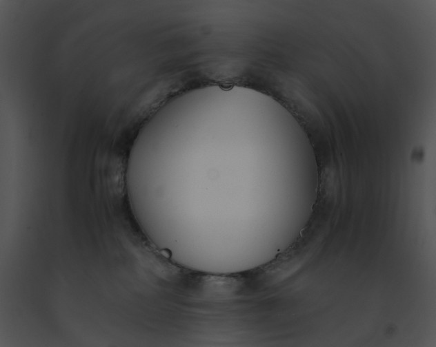 X0000091520234200708311256