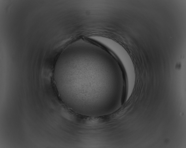 X0000091520235200708311256