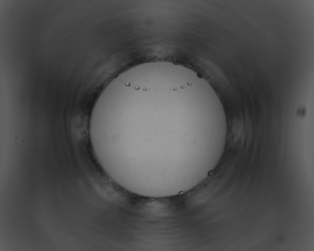 X0000091520236200708311256