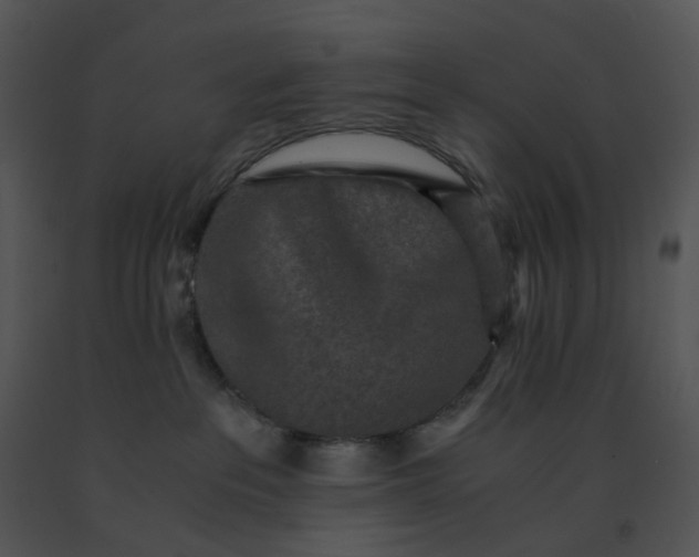 X0000091520237200708311256