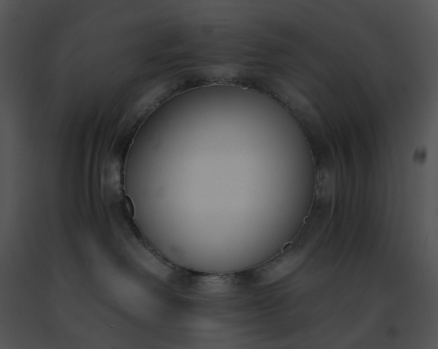 X0000091520238200708311256