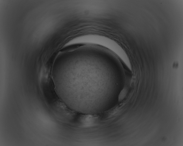 X0000091520239200708311256