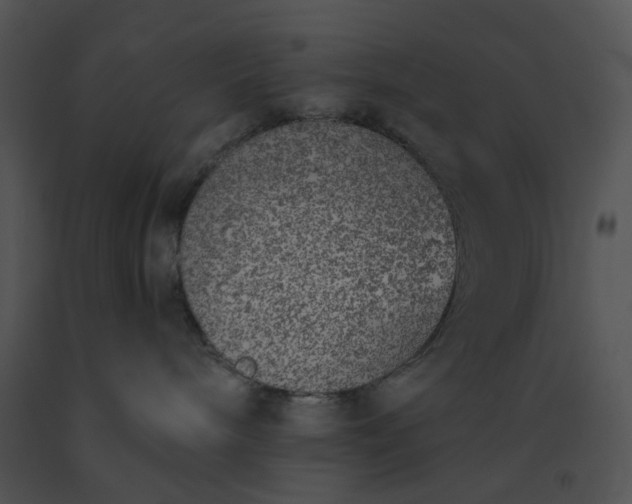 X0000091520240200708311256