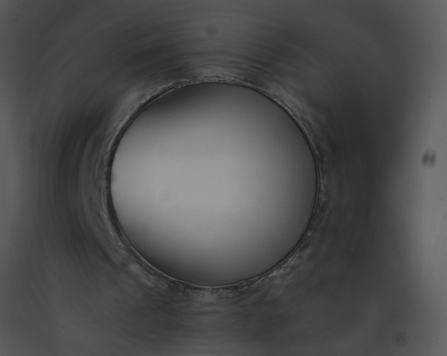 X0000091520241200708311255